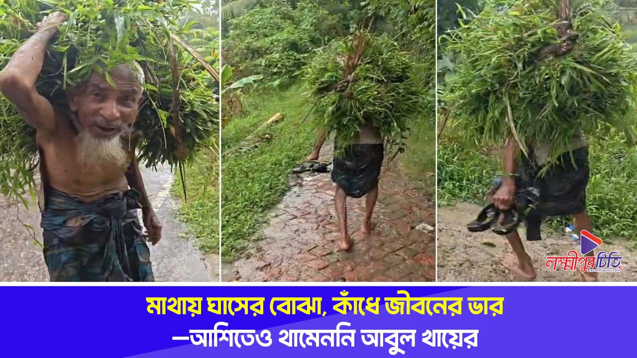 মাথায় ঘাসের বোঝা, কাঁধে জীবনের ভার—আশিতেও থামেননি আবুল খায়ের